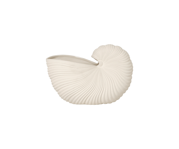 shell Pote da Hangar